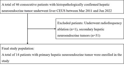 Comparison of primary hepatic neuroendocrine tumors and non-hepatitis B non-hepatitis C hepatocellular carcinoma on contrast-enhanced ultrasound